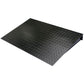OHAUS Ramp 1500mm Painted DF-D1